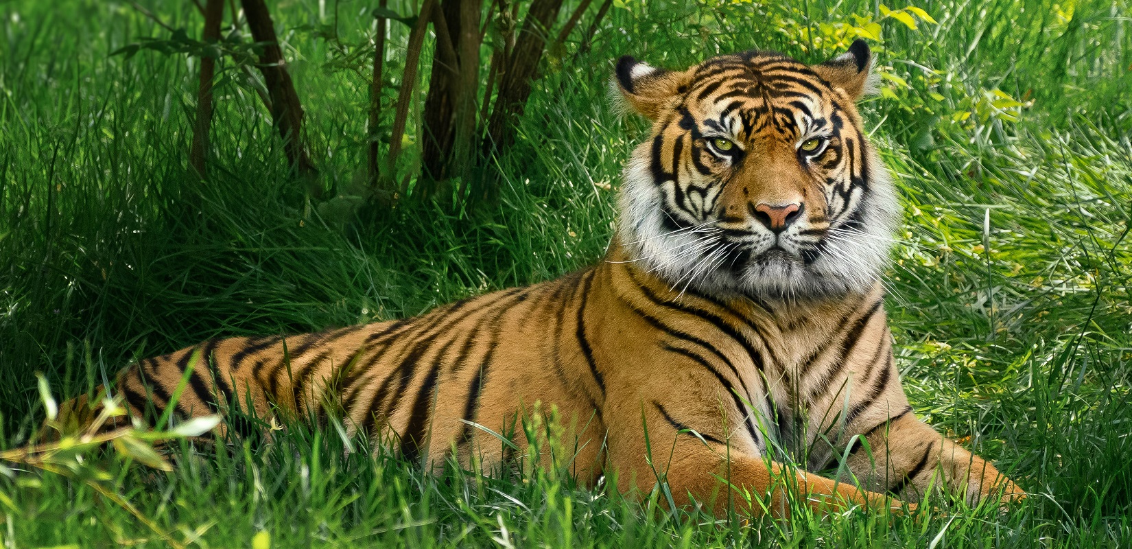 Step 3 Is It Too Late step-3-is-it-too-late