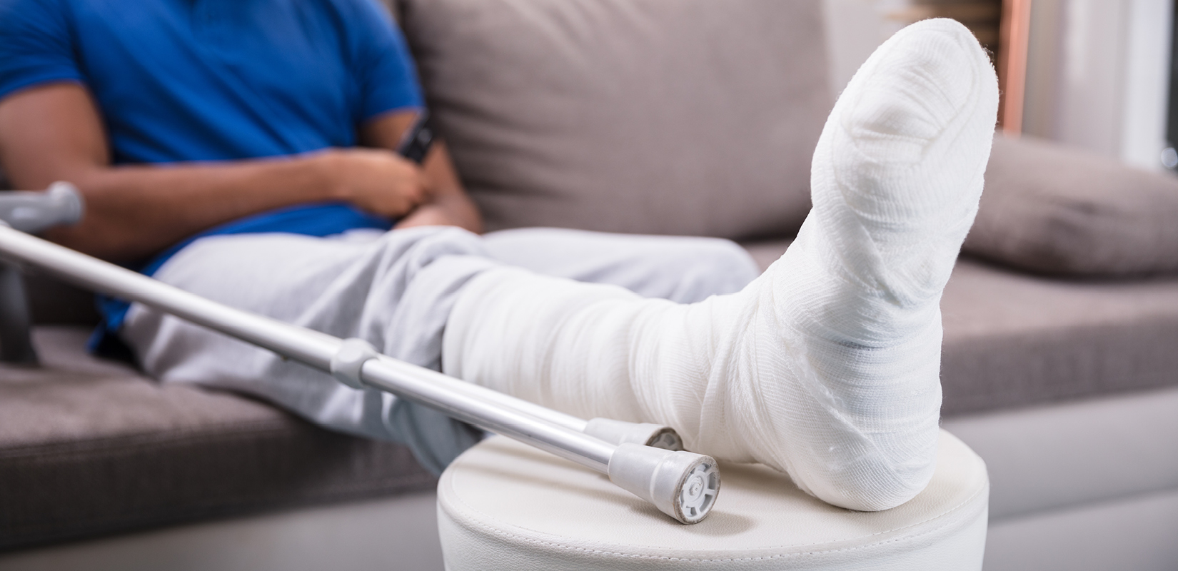 What To Do If I Find An Injured Animal